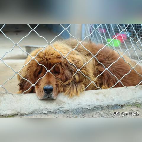 临沂市院子示范区的长尾关键词有什么