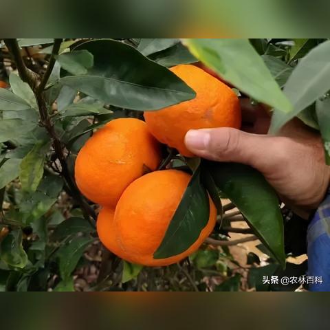 桂林邮政城北营业部地址相关长尾关键词有哪些