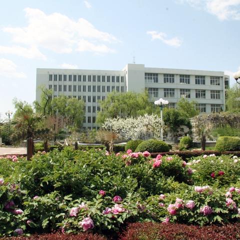 泰安属于山东临沂市吗的长尾关键词有哪些