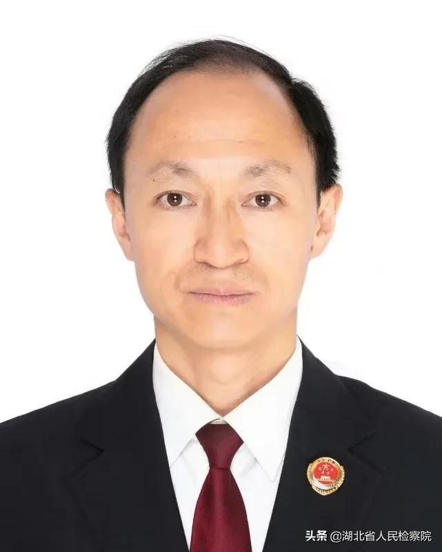 民法典里的技术合同包括哪些内容 民法典里的技术合同包括什么内容