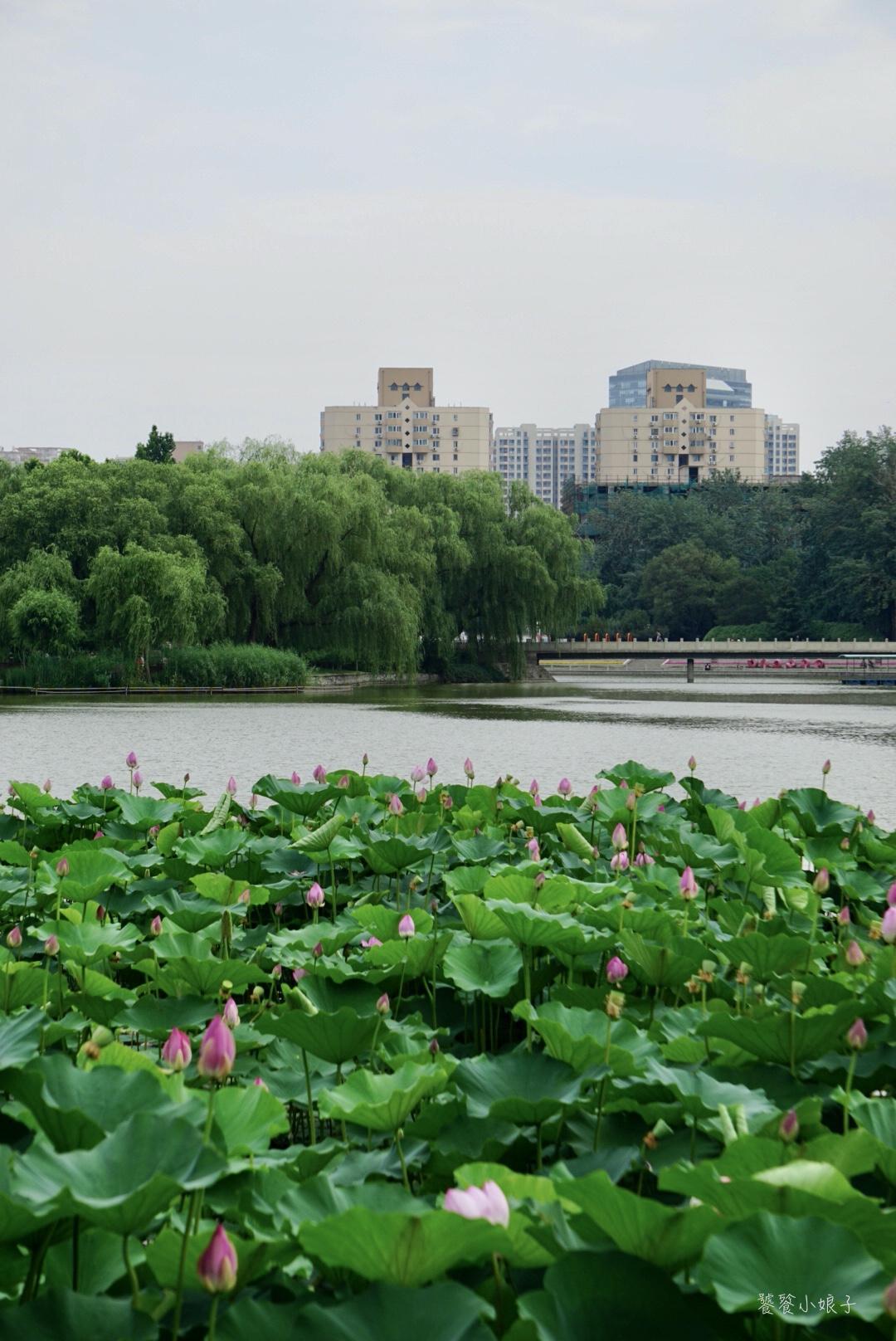 北京新增疫情最新消息今天
/北京新增疫情最新消息今天-图1 北京新增疫情最新消息今天
/北京新增疫情最新消息今天-图1