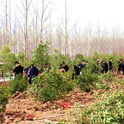 电厂爆破拆除周口市的长尾关键词有什么