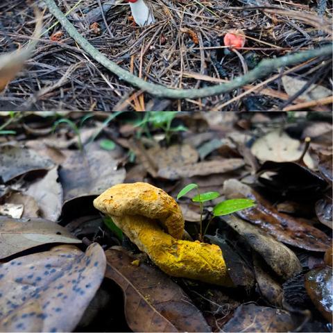 昆明市亲子徒步的长尾关键词有哪些