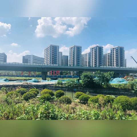 深圳市新塘路属于哪个区