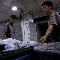 宁波镇海顺丰电话的长尾关键词有什么