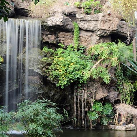 【天津大学多少亩】相关长尾关键词有哪些