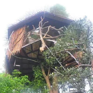 冬天桂林有水吗钓鱼相关长尾关键词有哪些