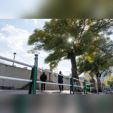 【哈尔滨今日气温】2025年4月6日哈尔滨气温是多少