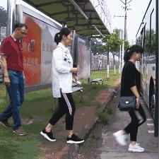 哈尔滨司机打老人视频相关长尾关键词有哪些