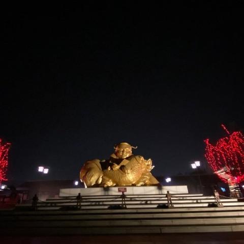 【天津金鱼产地】相关长尾关键词有哪些