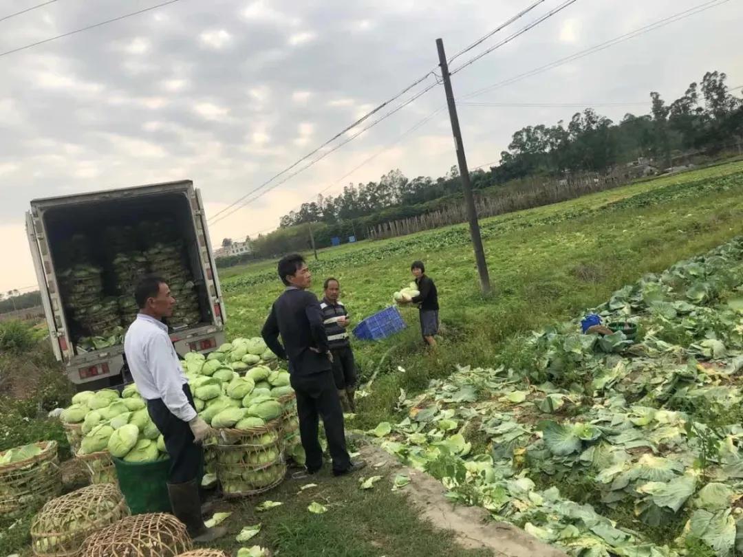 阳江大润发有什么美食（阳江较好的口腔科医院有哪些）