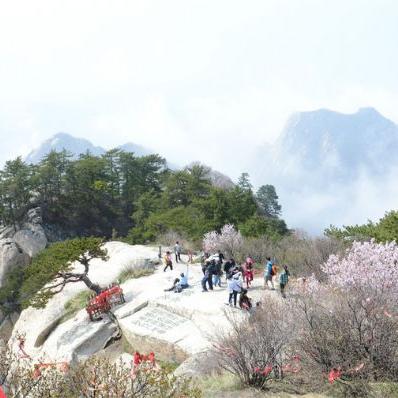 西安市到华山怎么去最快
