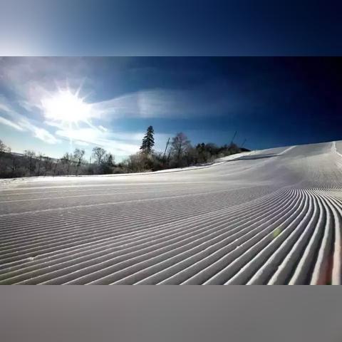 哈尔滨市大滑雪场在哪里