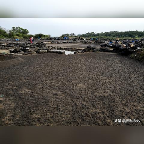 福建岩石爆破怎么样