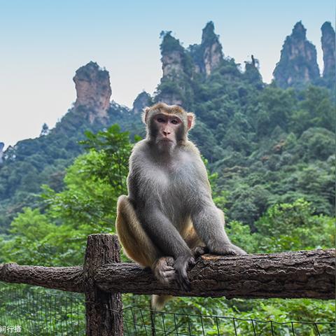 桂林市区如家酒店预订相关长尾关键词有哪些