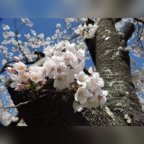 福建永福怎么样