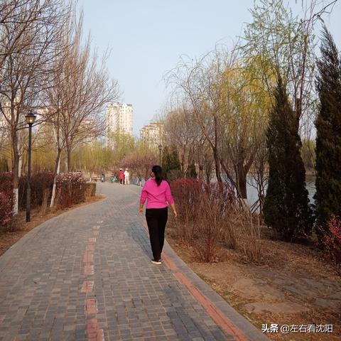 沈阳市北塔在哪个区