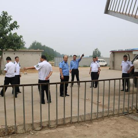 临沂市肥猪价格走势的长尾关键词有什么