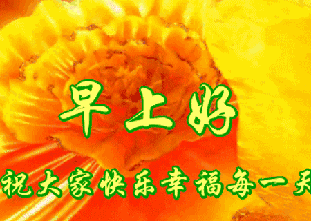 早上好！祝福你吉星高照，全家健康乐逍遥！愿你一生幸福多甜蜜！