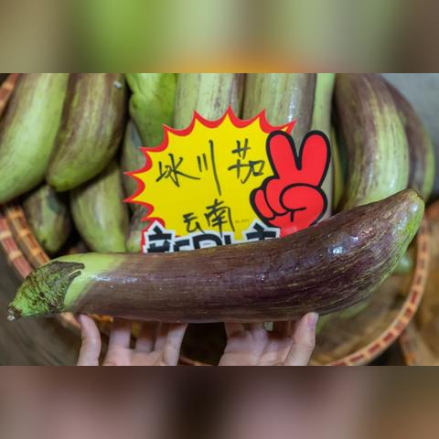 福建鹿茸批发怎么样