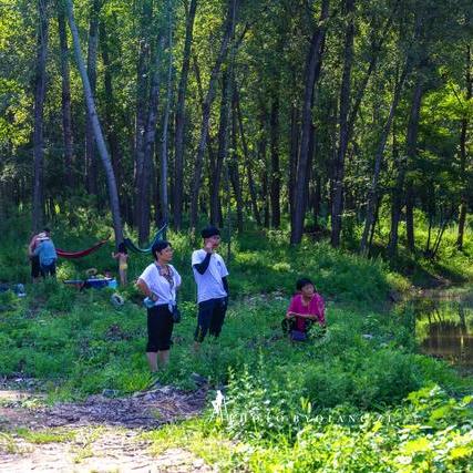 保定市唐县唐梅的长尾关键词有什么