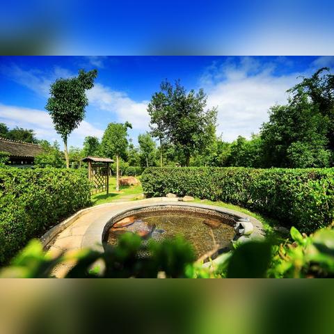 厦门市的spa哪里有