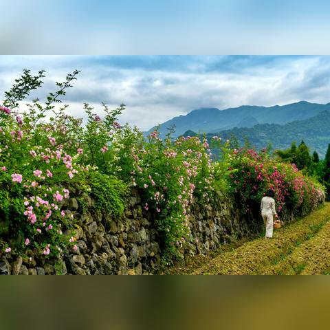 成都市地铁3号线照片打卡的长尾关键词有什么