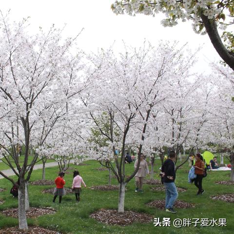 宁波市小学什么时候春游