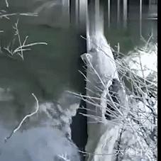 跨境电商亚马逊小白群的相关长尾关键词有哪些