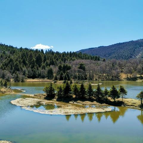 成都市带湖公园在哪里