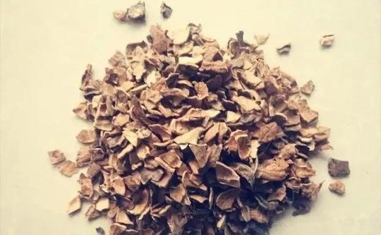 别再抱怨没钱养花，这些生活中的垃圾，养1盆旺1盆