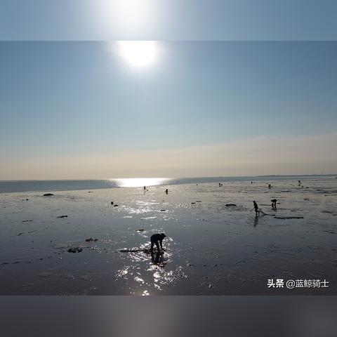 【天津今日气温】2025年5月3日天津气温是多少