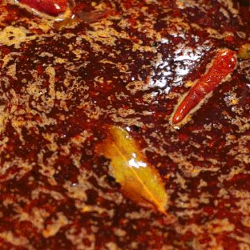 成都市区牦牛肉火锅的长尾关键词有什么