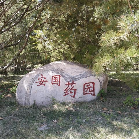 保定市新火车站到生态园的长尾关键词有什么