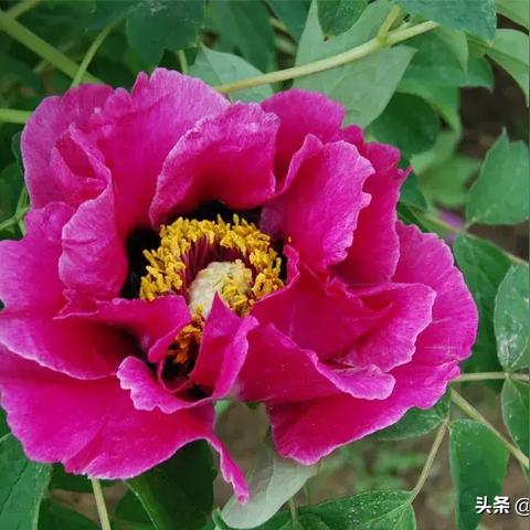 兰州和洛阳时差多少？