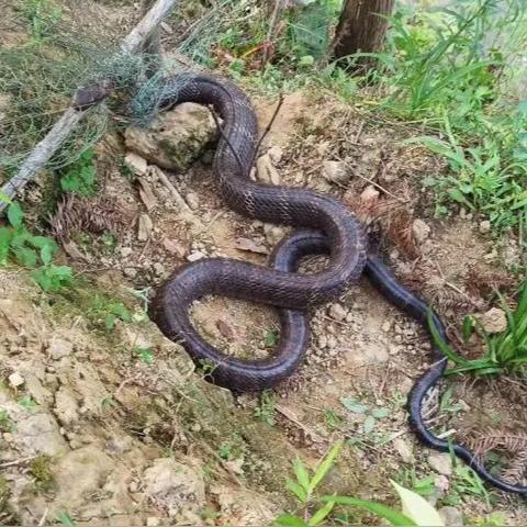 桂林属于广西的哪个方向？