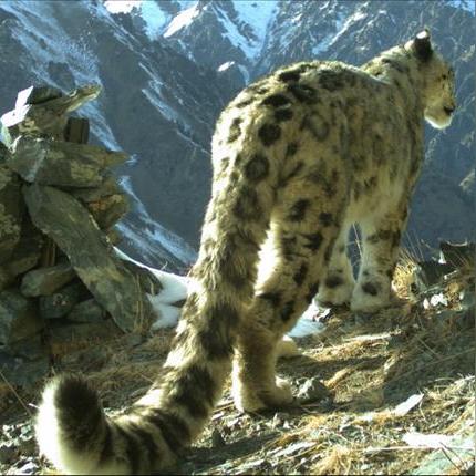 电脑屏幕变化监测工具在哪长尾关键词集合