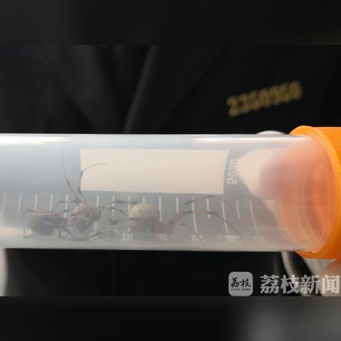 南通市送检在哪里