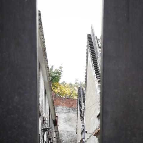 广州市人大多姓什么