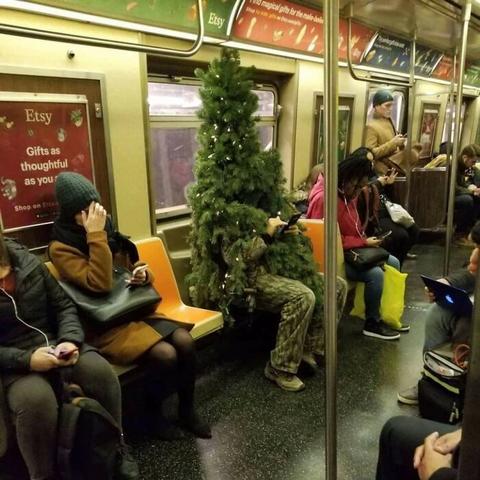 西安市动物园怎么走地铁