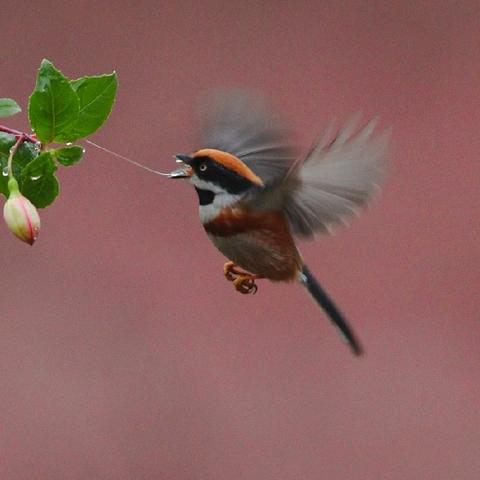 无锡 网站建设的长尾关键词是什么 无锡 网站建设的长尾关键词是什么