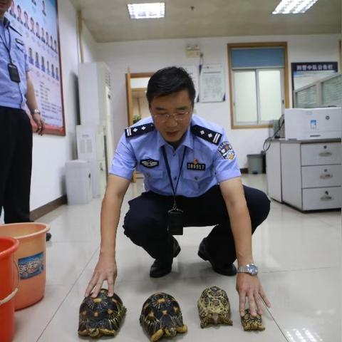 佛山市二手电机马达市场的长尾关键词有什么