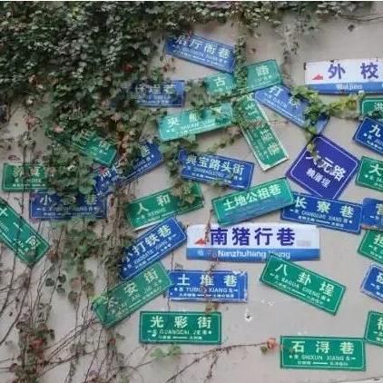 厦门九条人的相关长尾关键词有哪些