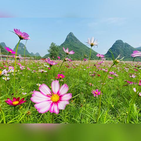 桂林华侨初级中学的相关长尾关键词有哪些