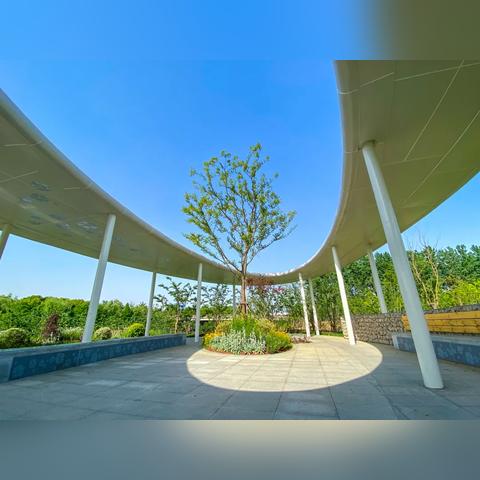 江苏无锡市厕所革命的长尾关键词有哪些