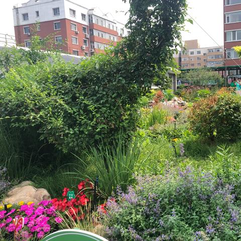 长春市恒大卸景二手房的长尾关键词有什么