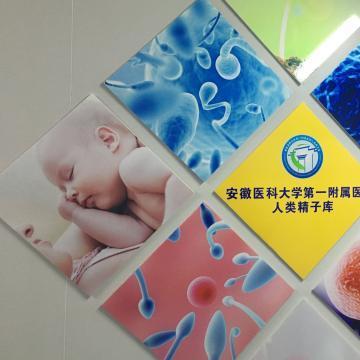 长沙精子库在哪里相关长尾关键词有哪些