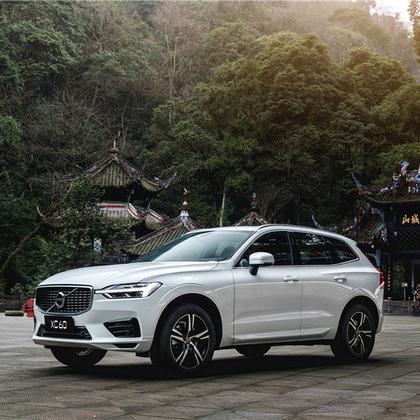 成都市哪里有马拉松