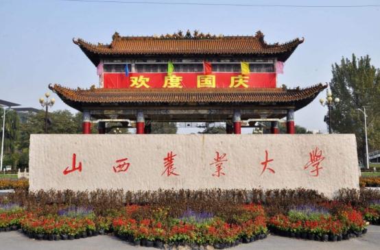 美食加什么背景颜色（浅蓝色背景配什么颜色的字体看起来很恰当能给个人例子吗）
