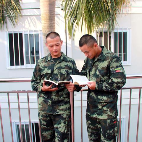 厦门武警林志辉的相关长尾关键词有哪些